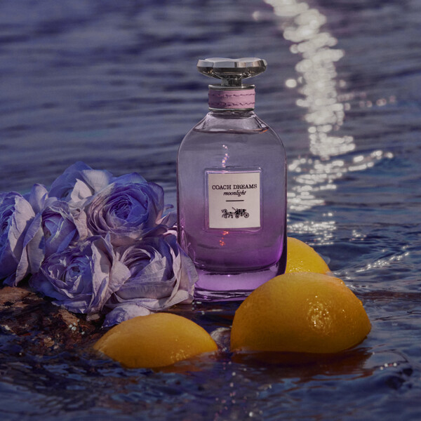 Coach Dreams Moonlight - Eau de parfum (Kuva 3 tuotteesta 5)