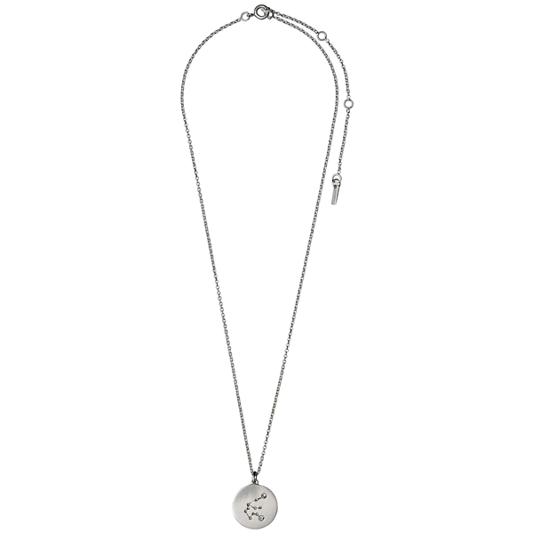 Aquarius Horoscope Necklace (Kuva 2 tuotteesta 2)