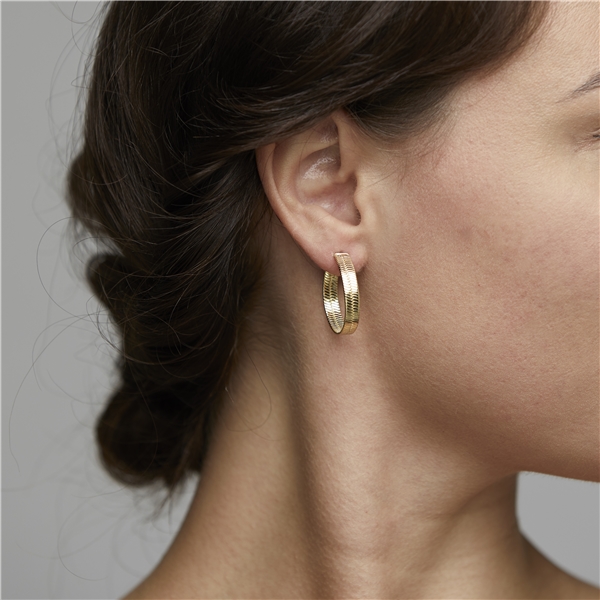 Noreen Earrings Gold Plated (Kuva 2 tuotteesta 2)