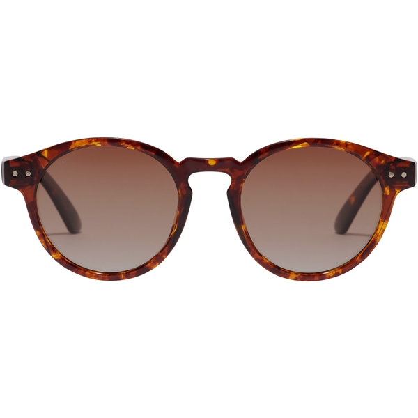 75221-9906 KYRIE Sunglasses (Kuva 2 tuotteesta 3)