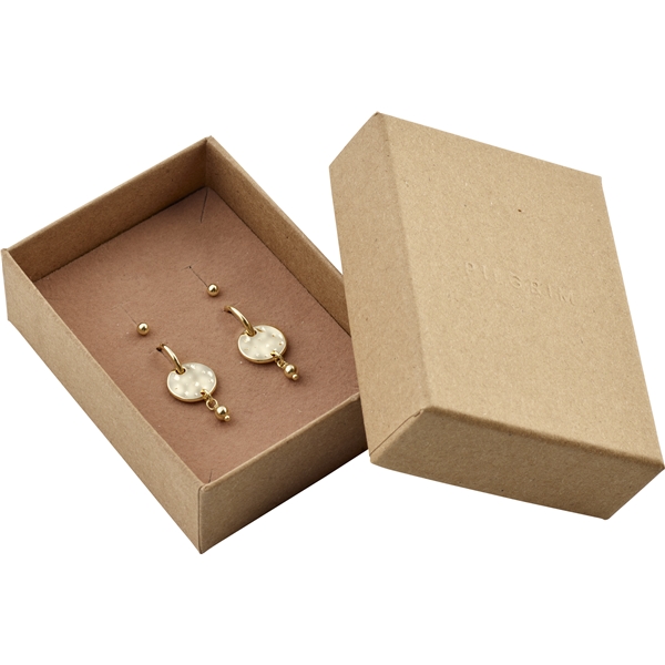 76223-2001 MSF Coin Hoops & Earstuds - Gift Set (Kuva 1 tuotteesta 5)