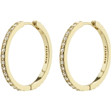 10231-2013 BE Crystal Hoop Earrings