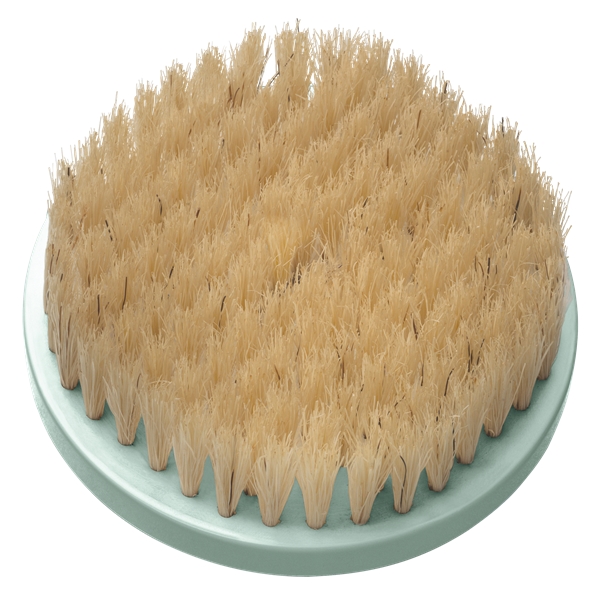 SP BB2 Replacement Brush For BB1000 Natural