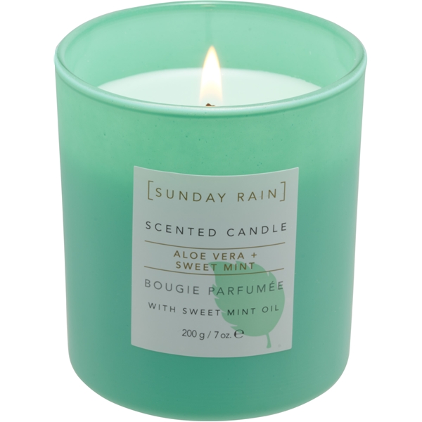 Sunday Rain Aloe & Sweet Mint Candle (Kuva 1 tuotteesta 5)