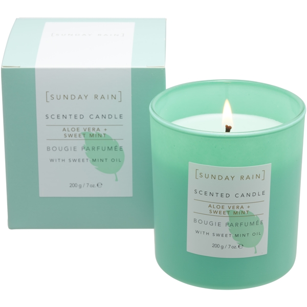 Sunday Rain Aloe & Sweet Mint Candle (Kuva 2 tuotteesta 5)