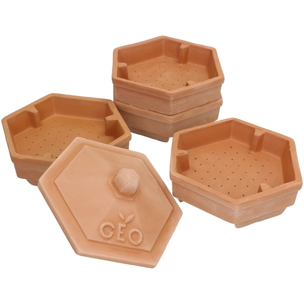 Terradisiena Sprouter Terracotta (Kuva 3 tuotteesta 3)