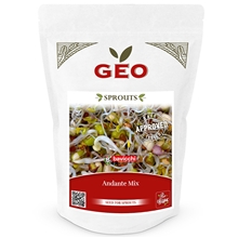 Andante Groddfrömix EKO 400g 400 gr