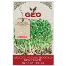 Broccolifrö EKO 13 gr