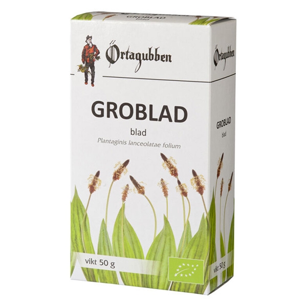 Groblad