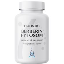 Holistic Berberin fytosom