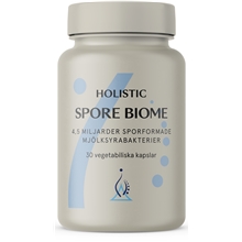 Holistic Spore Biotic 30 kapselia