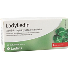 Ledins LadyLedin