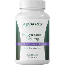 90 kapselia - Magnesium 375 mg