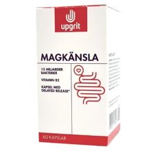Upgrit Magkänsla Mjölksyrabakterier