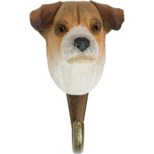 Jack Russell -terrieri
