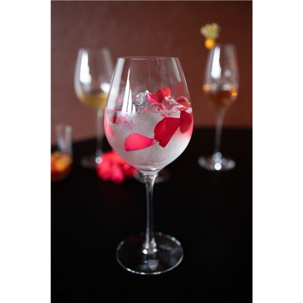 Difference Fruit -valkoviinilasi 45cl (44cl) (Kuva 3 tuotteesta 5)
