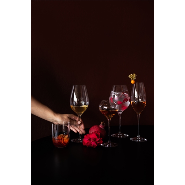 Difference Primeur -viinilasi (Kuva 2 tuotteesta 3)