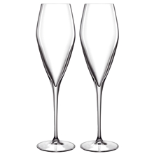 2 kpl/paketti - LB Atelier samppanjalasit Prosecco 2-pack