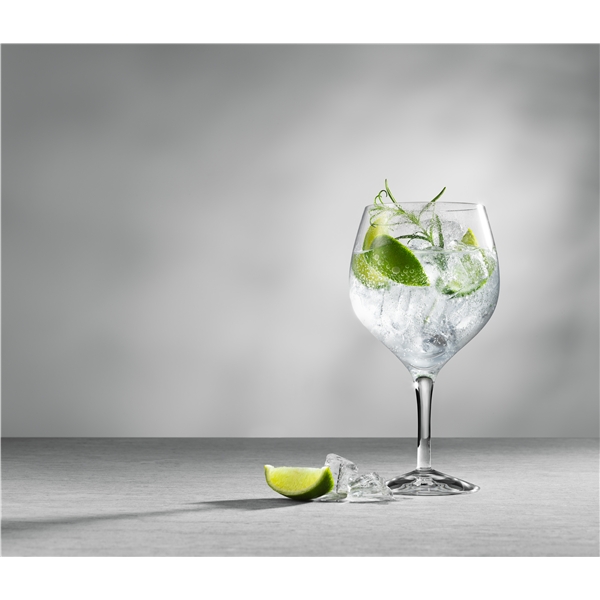 Gin & Tonic 4-pack (Kuva 2 tuotteesta 7)