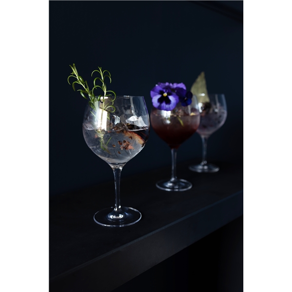 Gin & Tonic 4-pack (Kuva 5 tuotteesta 7)