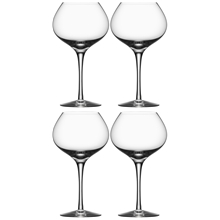 More Viini Mature 4-pack