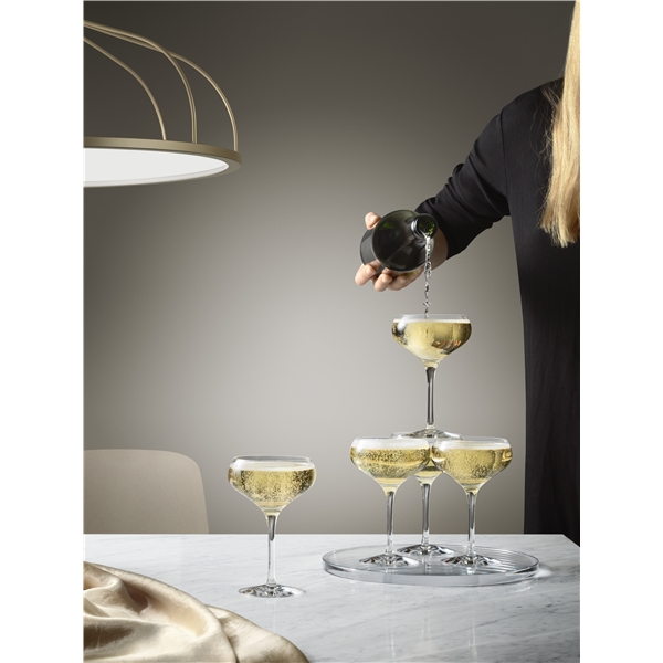 More Champagne Coupe 4-pack (Kuva 2 tuotteesta 2)