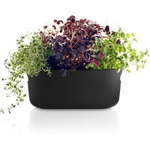 Musta - Herb Organiser Itsekasteluruukku