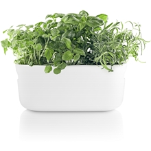 Valkoinen - Herb Organiser Itsekasteluruukku