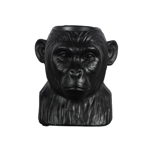 Gorilla Koriste (Kuva 1 tuotteesta 2)