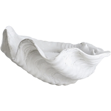 Large - Shell Koriste