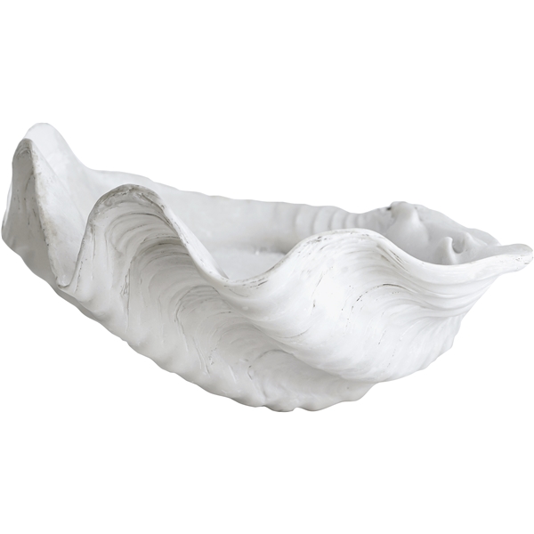 Shell Koriste (Kuva 1 tuotteesta 2)