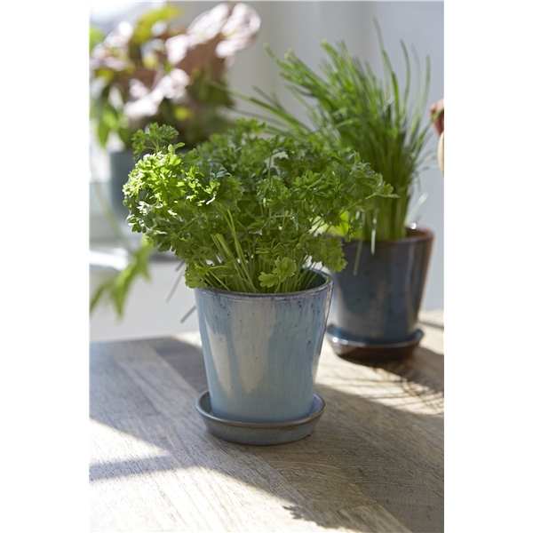 Knabstrup Istutusruukku 11cm (Kuva 2 tuotteesta 4)