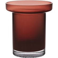 Limelight Tulppaanimaljakko caramel