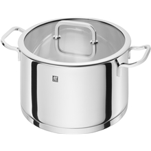 Zwilling Moment S Pata lasikannella