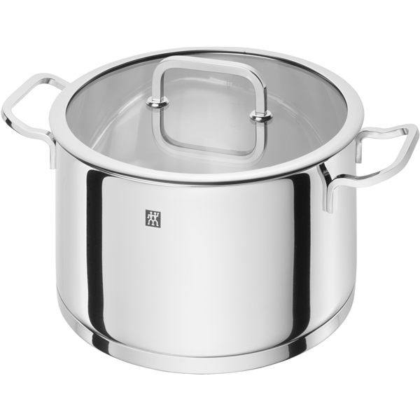 Zwilling Moment S Pata lasikannella
