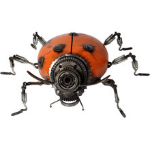 Metalliveistos Ladybug