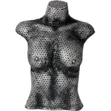 Female Torso