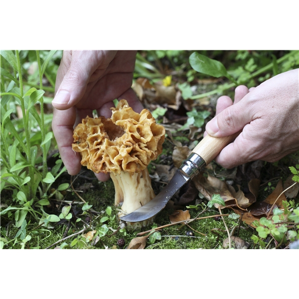 Sieniveitsi (Kuva 3 tuotteesta 7)
