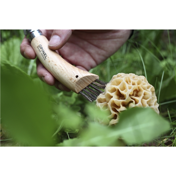 Sieniveitsi (Kuva 4 tuotteesta 7)