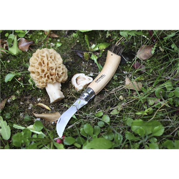 Sieniveitsi (Kuva 5 tuotteesta 7)