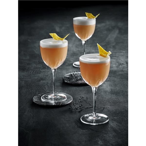 Mixology Cocktaillasi Nick & Nora 4-pack (Kuva 3 tuotteesta 3)