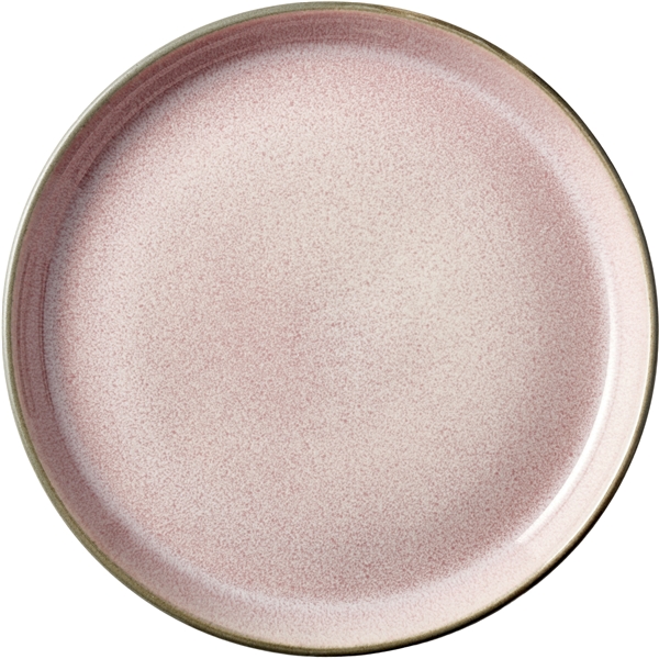 Gastro Lautanen Harmaa/Light pink (Kuva 1 tuotteesta 6)