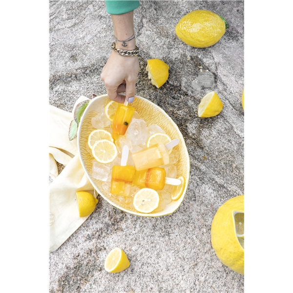 Kannellinen Kulho Lemon (Kuva 4 tuotteesta 4)