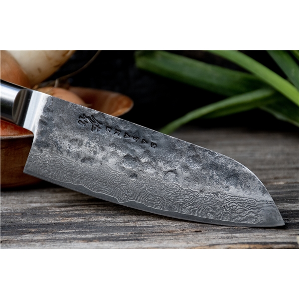 Satake Kuro Kosantoku (Kuva 3 tuotteesta 5)