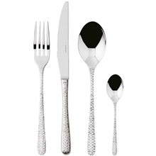 1 set - Venezia aterinsetti 24 osaa ruostumaton