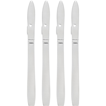 Skagen Rapuveitset 4 kpl