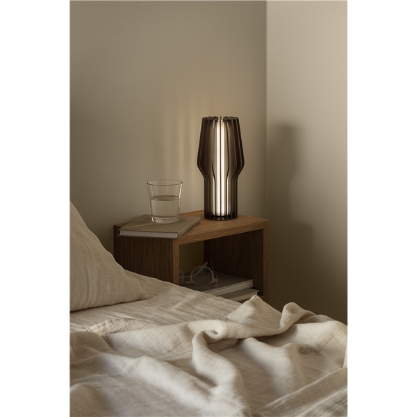 Eva Solo Radiant LED-ladattava lamppu 25cm (Kuva 5 tuotteesta 5)