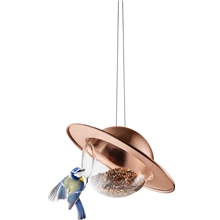 Saturn lintulauta