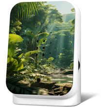 Junglebox Soittorasia Maliau