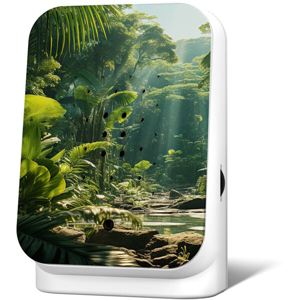 Junglebox Soittorasia Maliau (Kuva 1 tuotteesta 4)